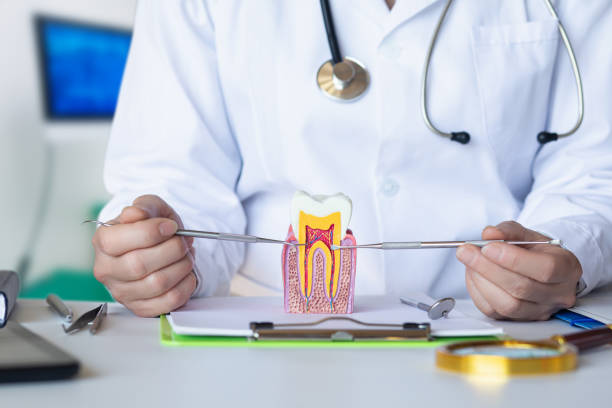 Best Emergency Denture Repair in Hays, NC